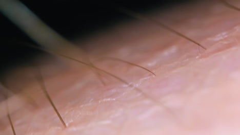 motion above human skin with brown hair on dark background