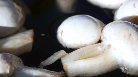boiling mushrooms