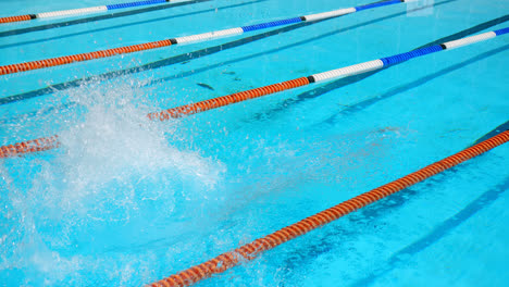 male swimmer jumping into swimming pool 4k