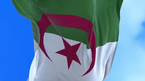 algerian flag.