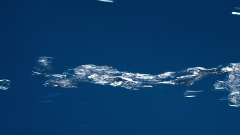 Vertical-of-Real-pure-water-flowing-down-with-splashing-on-blue-background-shooting-in-slow-motion