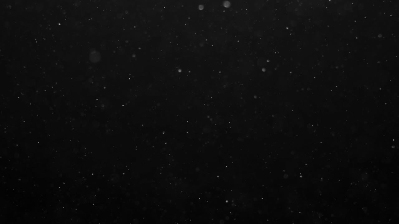 Subtle dust motes or organic particles float gently against a black background. Perfect overlay for adding atmosphere, realism, or a vintage feel