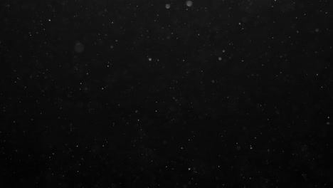 Subtle dust motes or organic particles float gently against a black background. Perfect overlay for adding atmosphere, realism, or a vintage feel