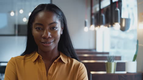 head and shoulders portrait of smiling african american businesswoman working in modern office