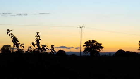 Herbstlicher-Sonnenuntergang-Auf-Dem-Land-Mit-Geringer-Tiefe