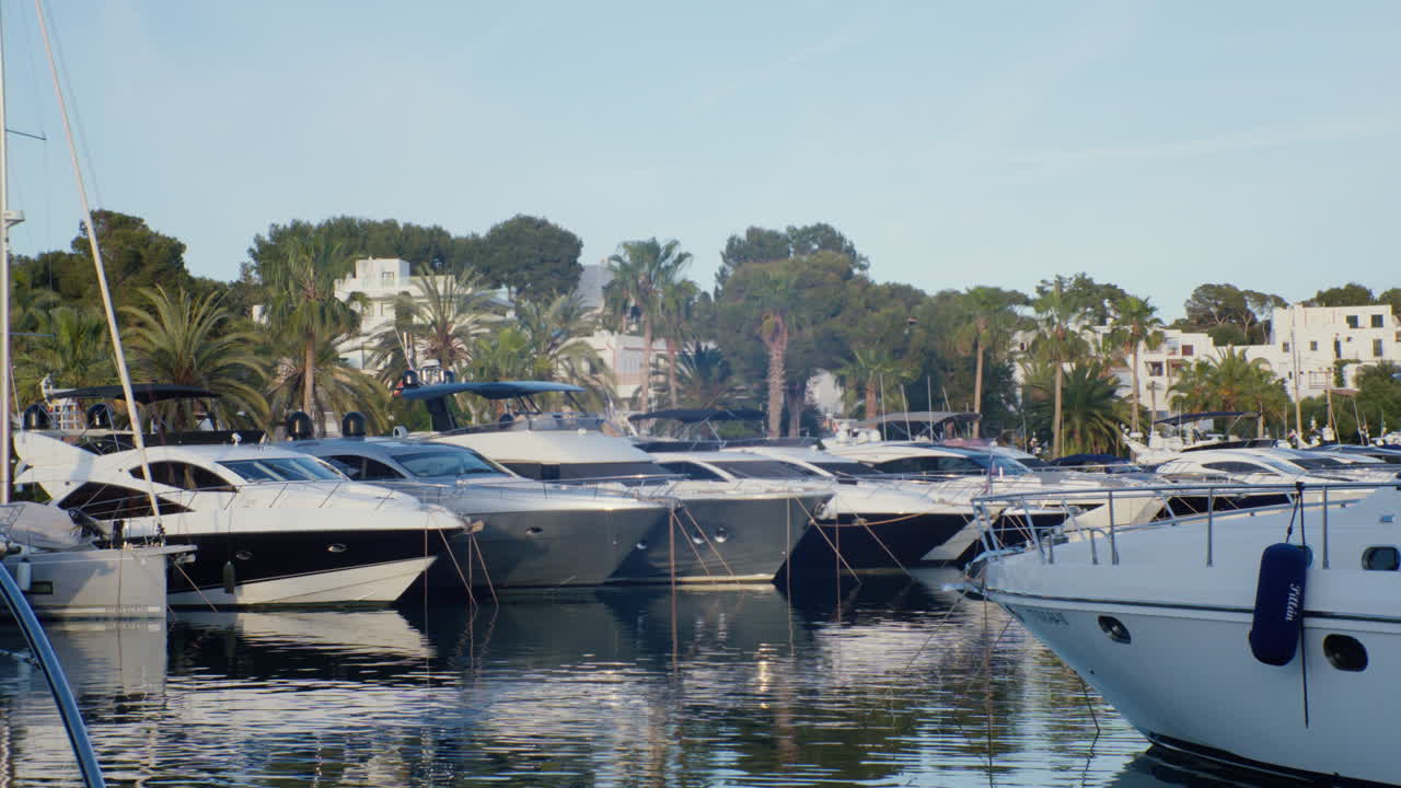Cala D'Or Marina, featuring yachts and palm trees set against a backdrop of white houses
