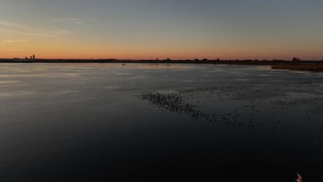 sunsetting over nearby marsh on mobile bay in alabama
