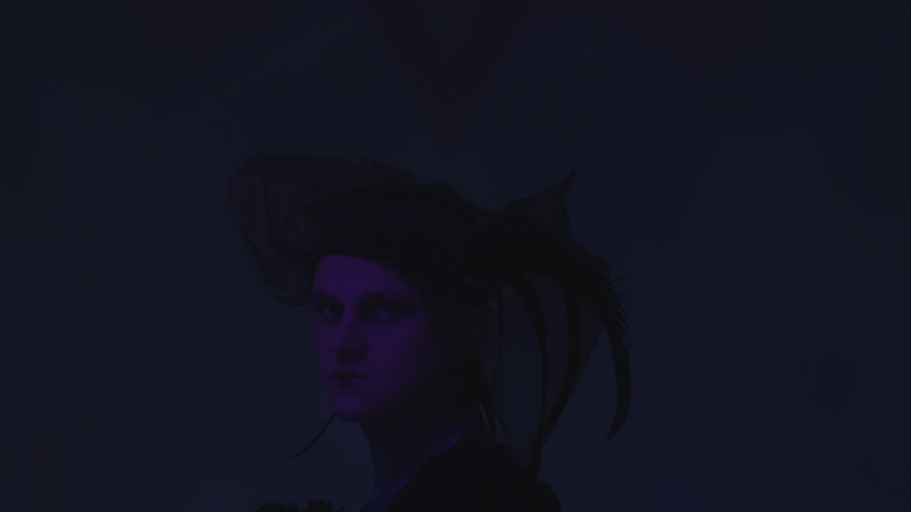 Gothic Man in Veil with Feathers Posing in Dark Studio