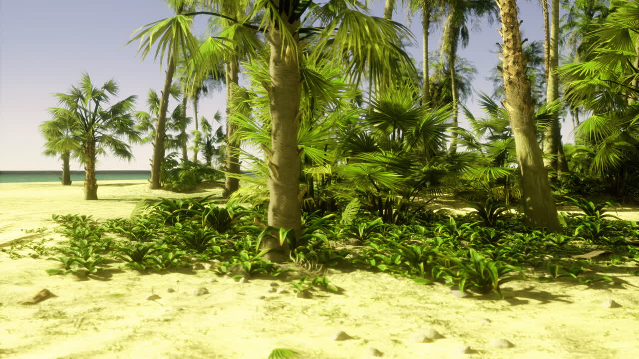 Rigoglioso paesaggio tropicale con palme vivaci e vista sulla spiaggia sabbiosa