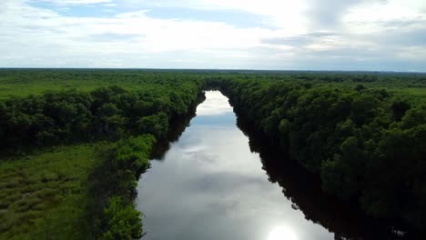 landscape of the reflection of the sky in the river and the rainforest on both sides of the river stretching to the horizon.