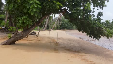 Aerial-View-Of-Tree-Swing-On-Ao-Tan-Beach-At-Koh-Mak