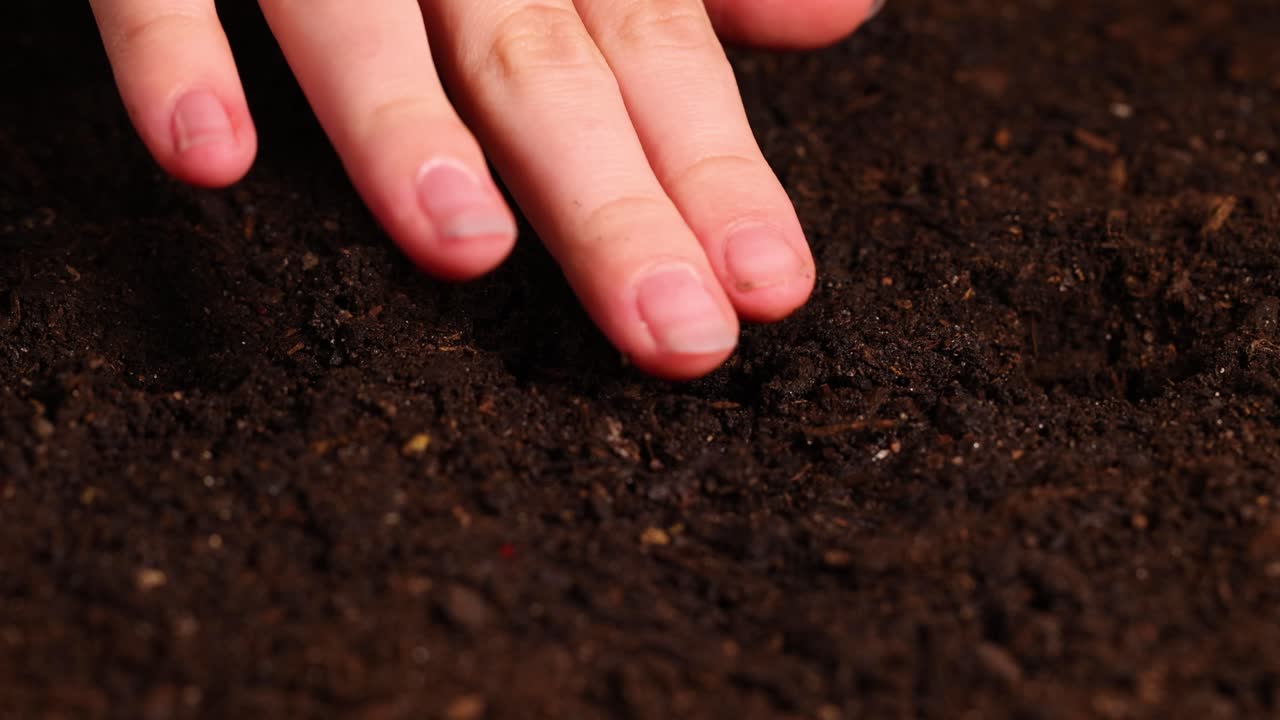 Hands gently plant seeds into dark, rich soil under soft lighting, emphasizing growth and nurturing in a close-up view