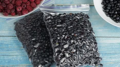 envases con arándanos en bolsas de plástico con cremallera para congelar. congelados, para la conservación de los frutos