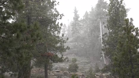 Ein-Blendender-Schneesturm-Schlägt-In-Den-Sierra-Nevada-Bergen-Am-Lake-Tahoe-2-Zu