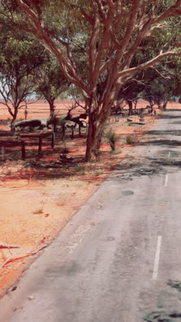 empty road through a dusty australian landscape