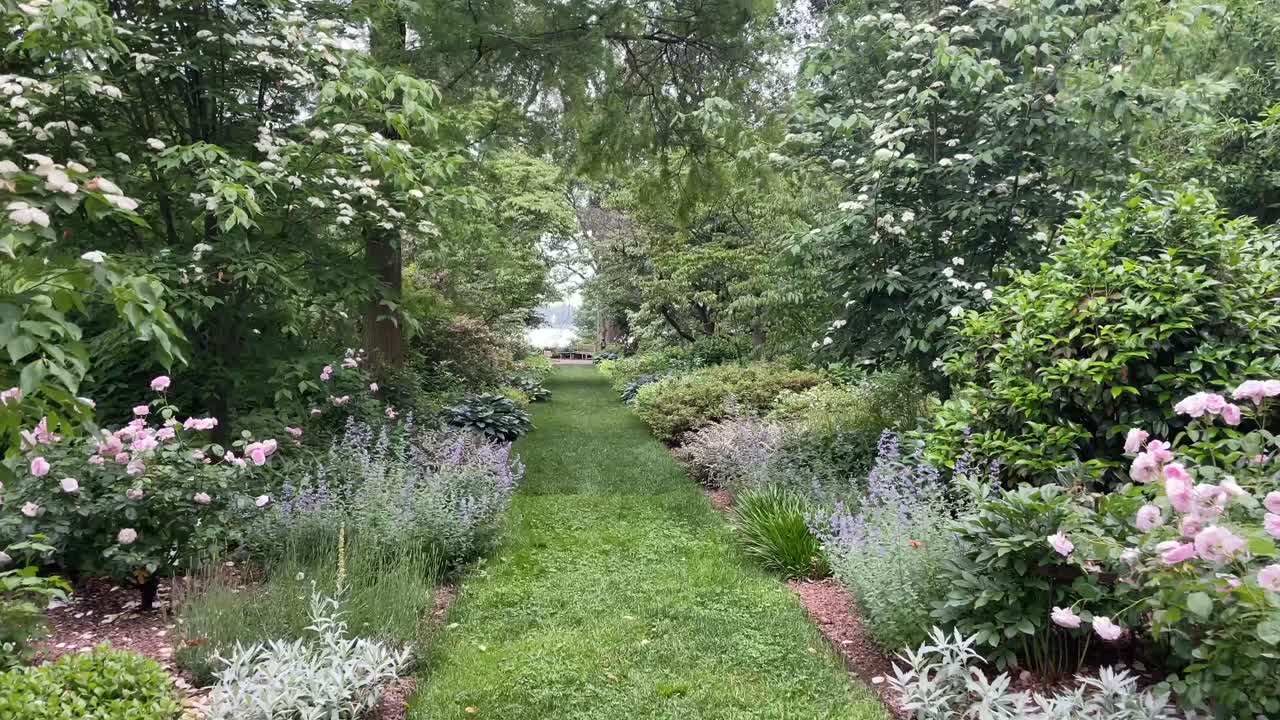 sendero para caminar por la naturaleza con árboles