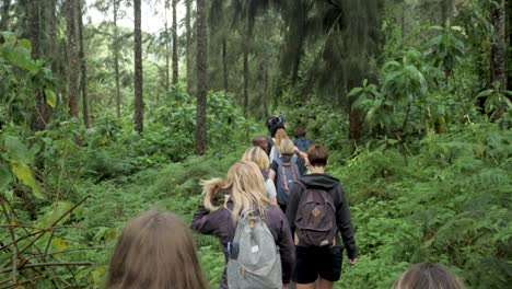 A-large-group-of-young-tourists-are-on-holiday-with-school-students-and-hiking-through-nature-in-Tanzania-jungle-rainforest-hike-with-backpacks-and-equipment-50-fps