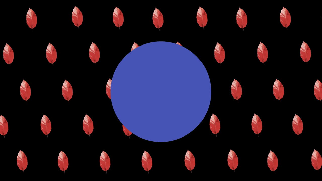 Animation of red drops and blue circle moving on black background