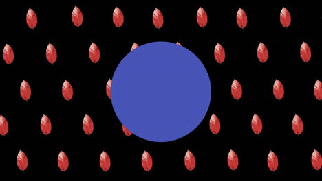 animation of red drops and blue circle moving on black background