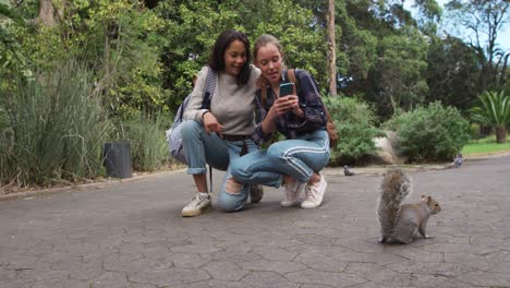 front view of a caucasian and mixed race girl taking photo of a squirrel