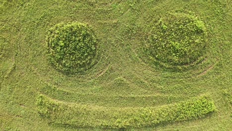 smiling face crop circle in a field