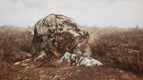 dry-grass-and-rocks-landscape