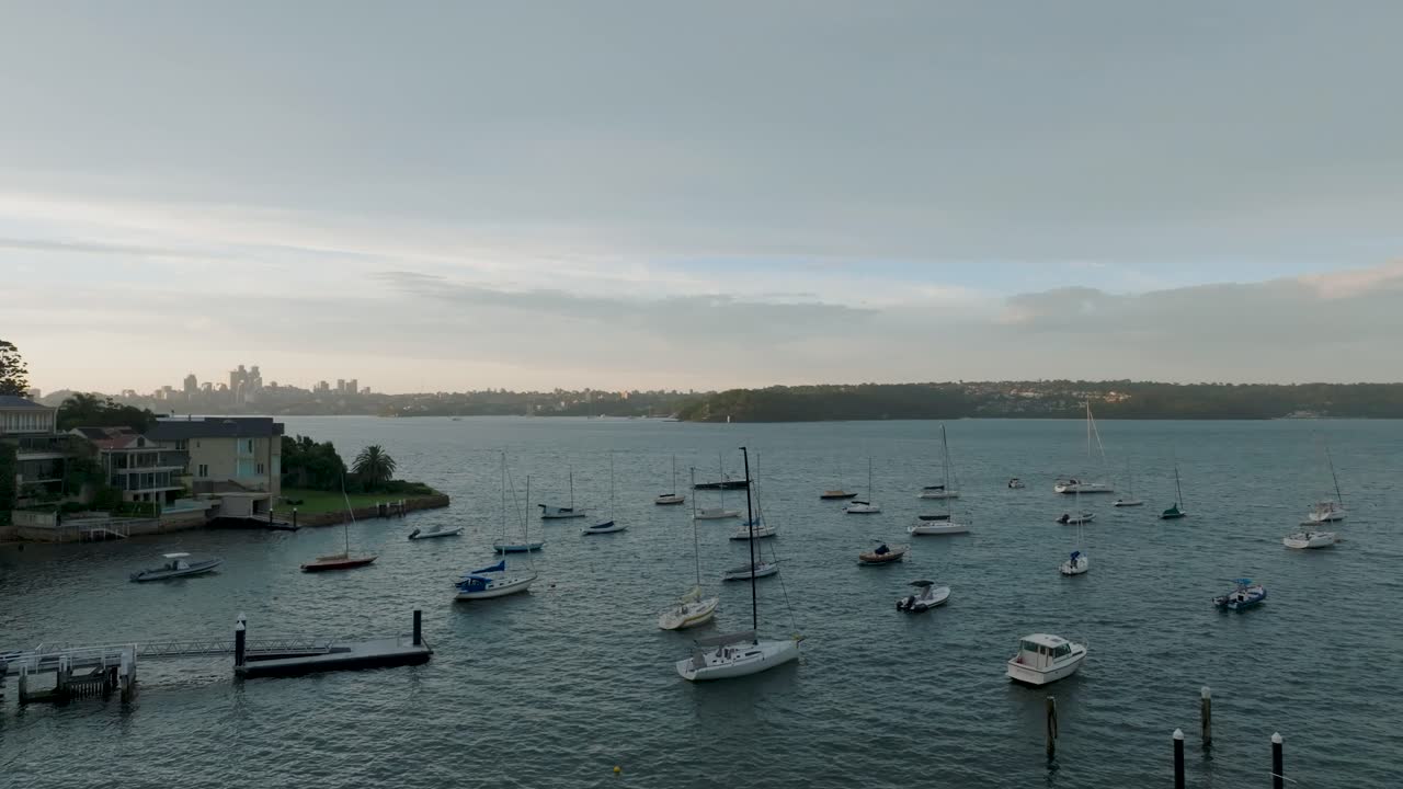 Sydney's point piper, showing boats in the harbor and city skyline, aerial view