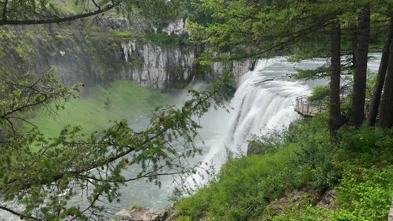 Cascate Superiori di Mesa in Idaho, una potente cascata sul Henrys Fork del fiume Snake, circondata da una fitta foresta e pareti di canyon vulcaniche