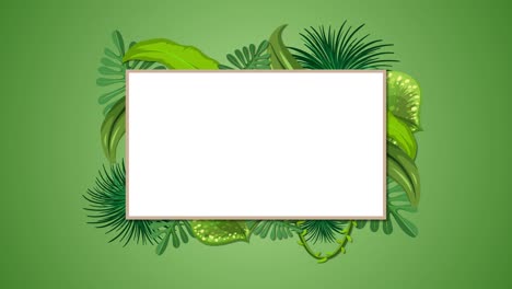 animated tropical leaves framing a blank space.