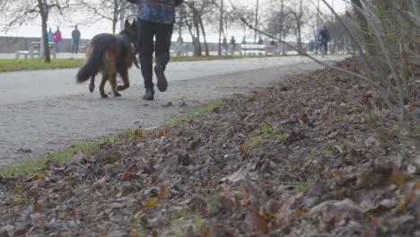 Hombre-Y-Su-Pastor-Alemán-Corriendo-En-El-Paseo-Marítimo