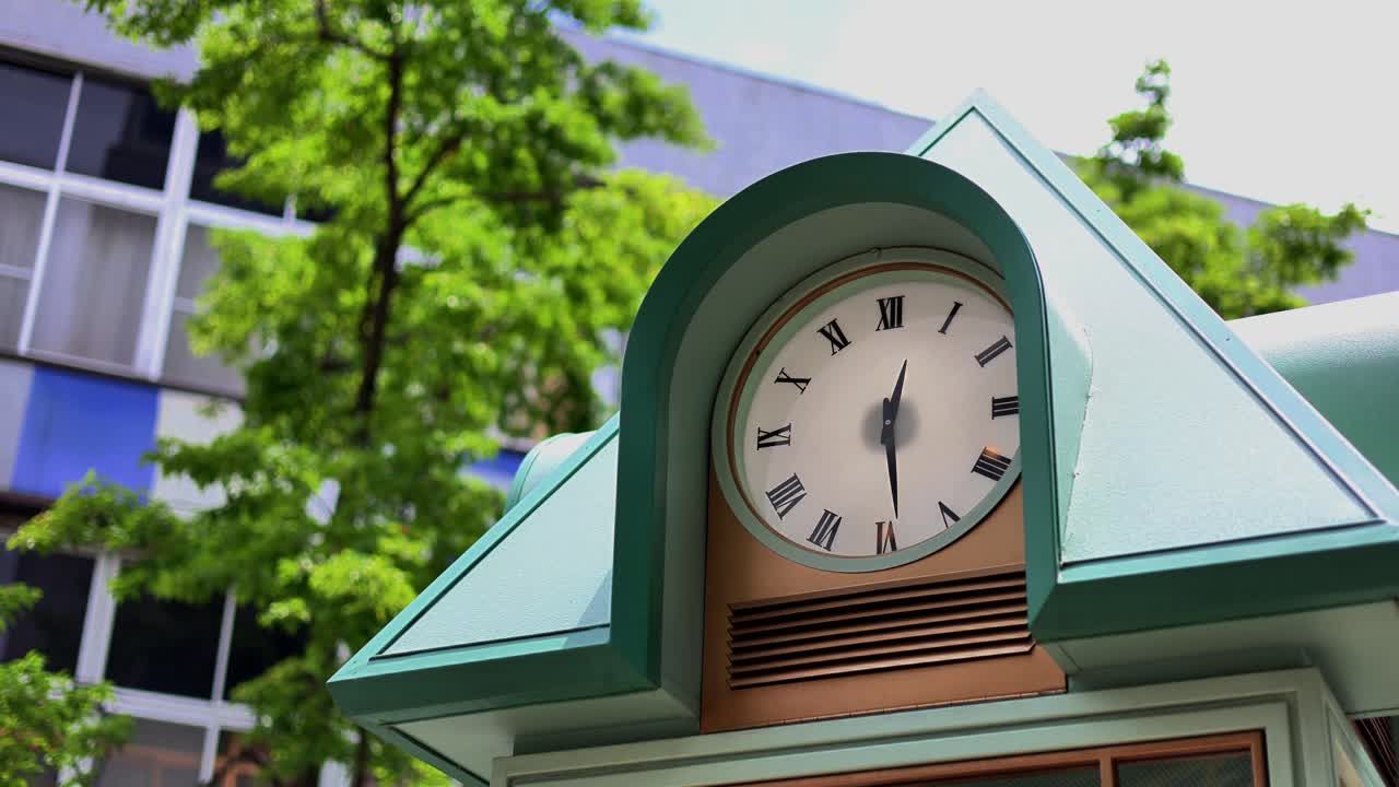 The beautiful life in Yokohama