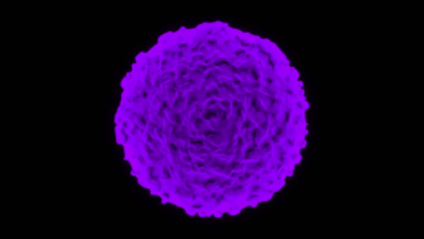 efecto de la enfermedad del virus de la corona 3d mutando y moviéndose en bucle púrpura