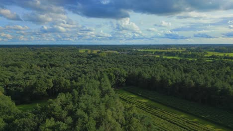 Drone-over-North-Brabant-forest-in-summer-day-with-clouds-idyllic-landscape