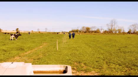 Two-cattle-farmers-walking-in-the-field