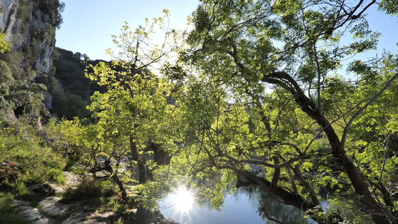 Natura con alberi primaverili lungo una scogliera calcarea e un fiume, Francia