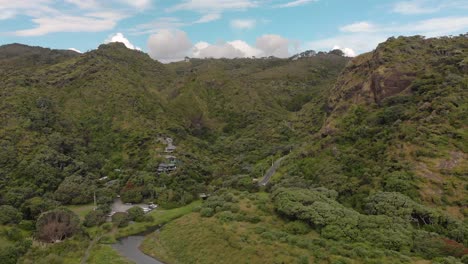 vista aérea de casas de estilo de vida en colinas de nueva zelanda con bosque nativo