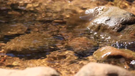 Agua-Limpia-Y-Clara-Que-Fluye-En-Un-Arroyo-Rocoso-Que-Muestra-El-Concepto-De-Armonía,-Equilibrio,-Atención-Y-Curación-En-La-Naturaleza