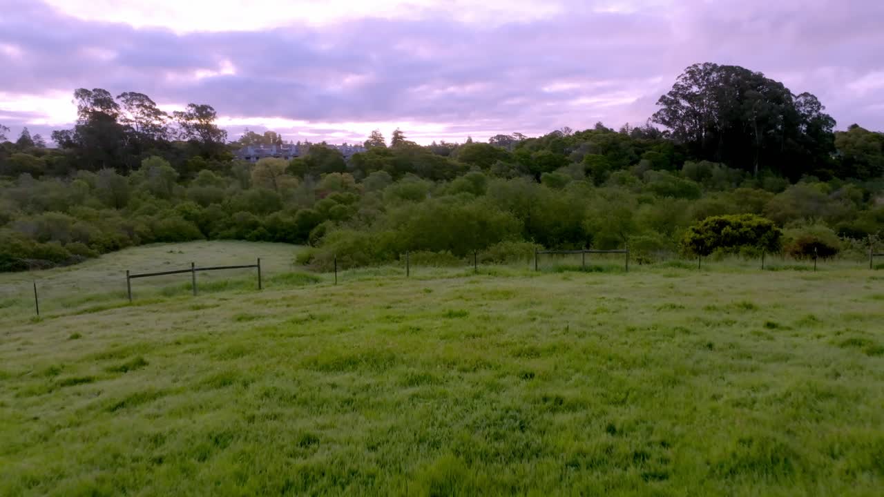 esta impresionante imagen aérea captura la belleza escénica de arana gulch en santa cruz mientras un avión no tripulado toma vuelo desde la cima de una colina, volando hacia la vasta extensión del océano con una velocidad notable.