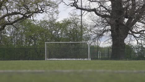 close-up of a goal on a warm day