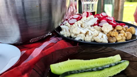 closeup of plate with radish, cauliflower and champignons on red cloth outdoors