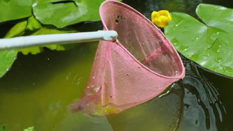 limpiar la superficie de la piscina de las hojas con una red.