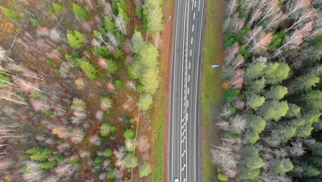 Top-view-passing-over-a-road-with-trees-on-each-side-and-a-car-passing-by