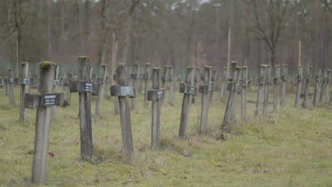 close pan over old crosses at abandoned cemetary