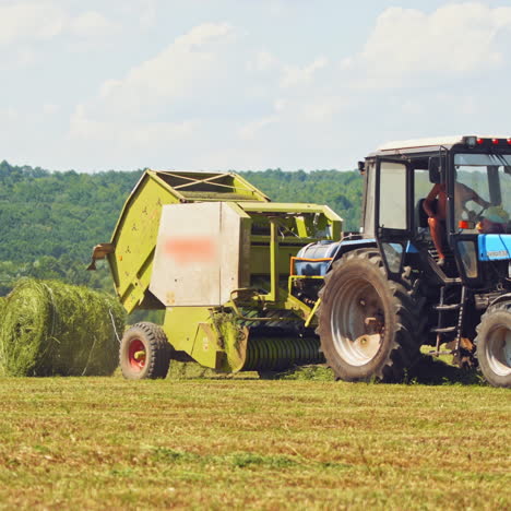 tractor pressing grass into round bales on the field in summer. agricultural machine makes pressed bundle of green grass outdoors.
