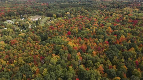 Colores-De-Otoño-A-Mediados-De-Michigan-En-Medio-Del-Otoño