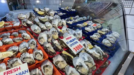 display of fresh oysters at melbourne market