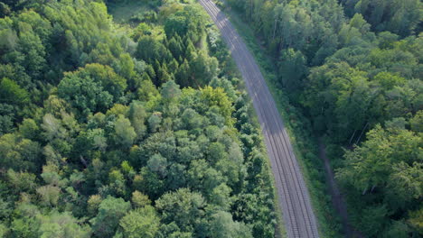 Vías-De-Tren-Vacías-En-El-Bosque-Verde,-Vista-Aérea-Hacia-Abajo