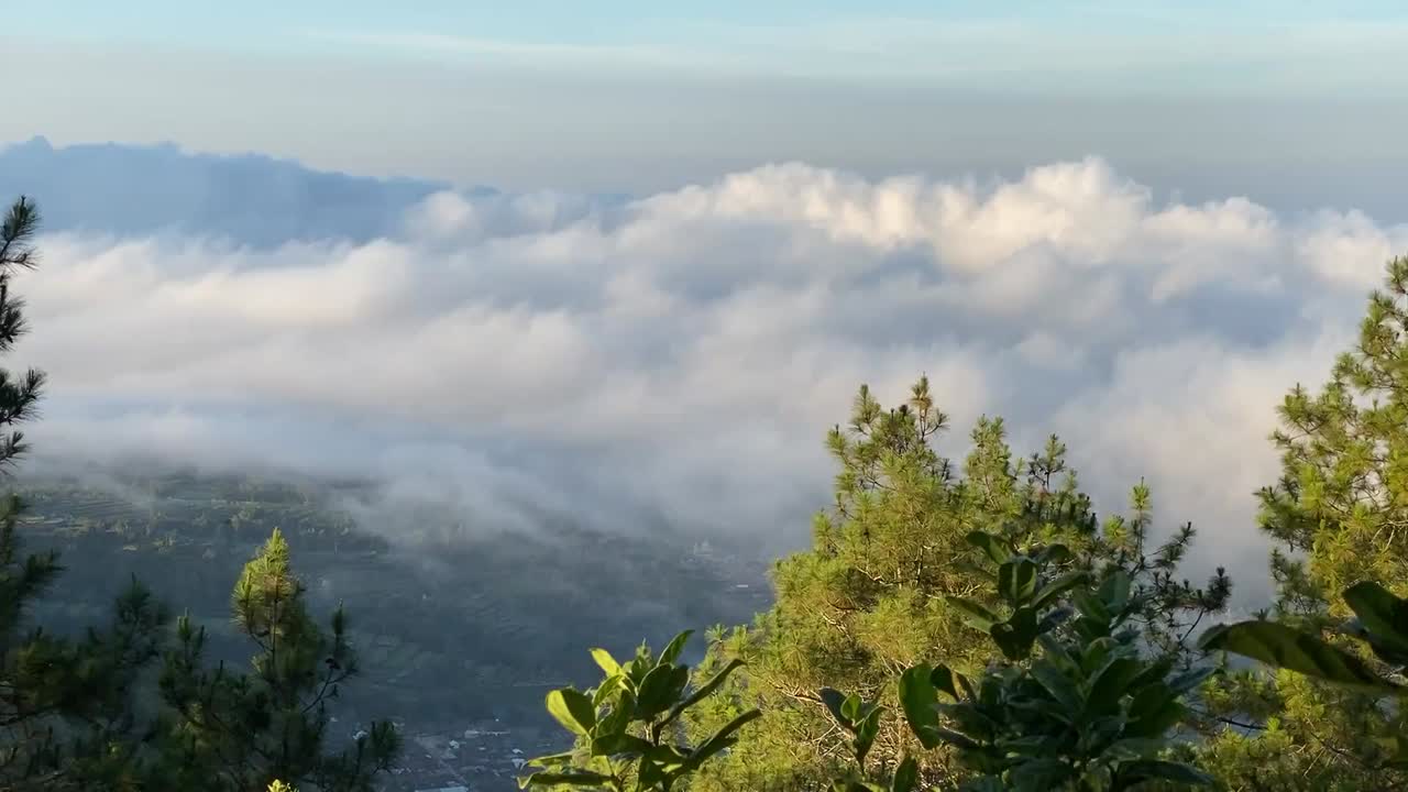 beautiful and serene atmosphere on the Mount Andong climbing route in the morning. Towering trees and other mountain views are visible.