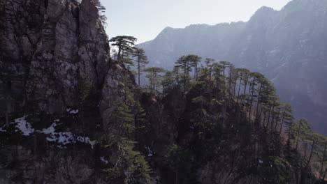 flying over trees on mountain top to reveal a valley with dry river