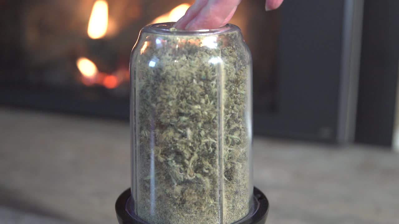 Marijuana buds cut into small pieces in blender, isolated close up